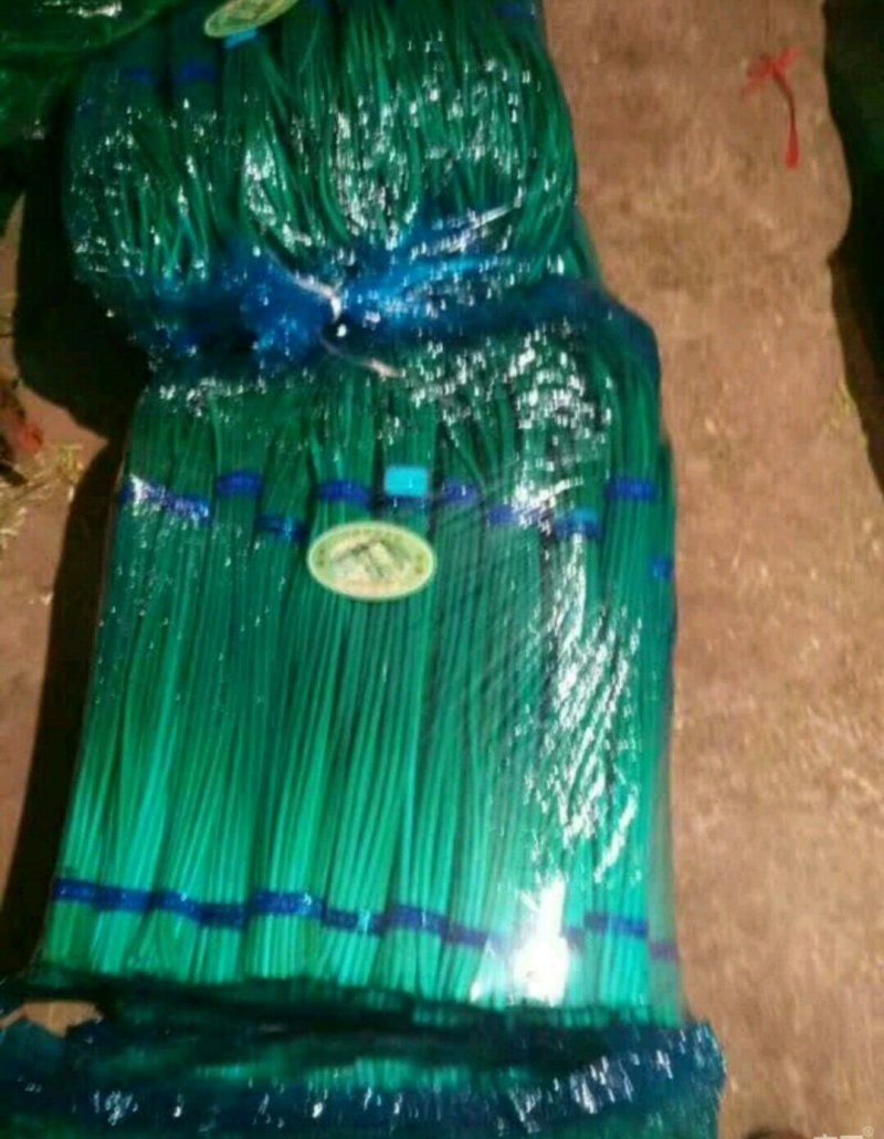 优质蒜薹批发，红帽✔白帽质量保证，货源充足