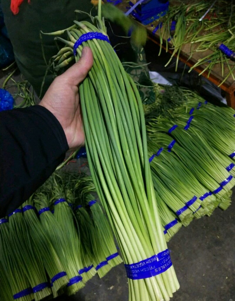 优质蒜薹批发，红帽✔白帽质量保证，货源充足