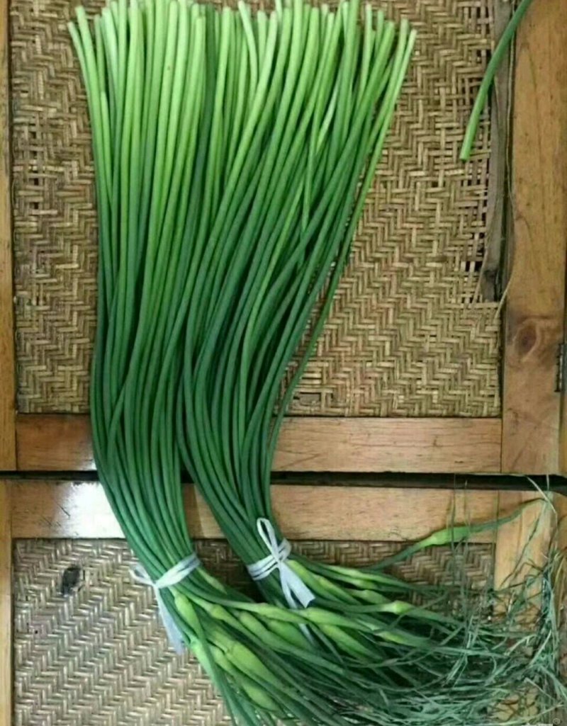 优质蒜薹批发，红帽✔白帽质量保证，货源充足