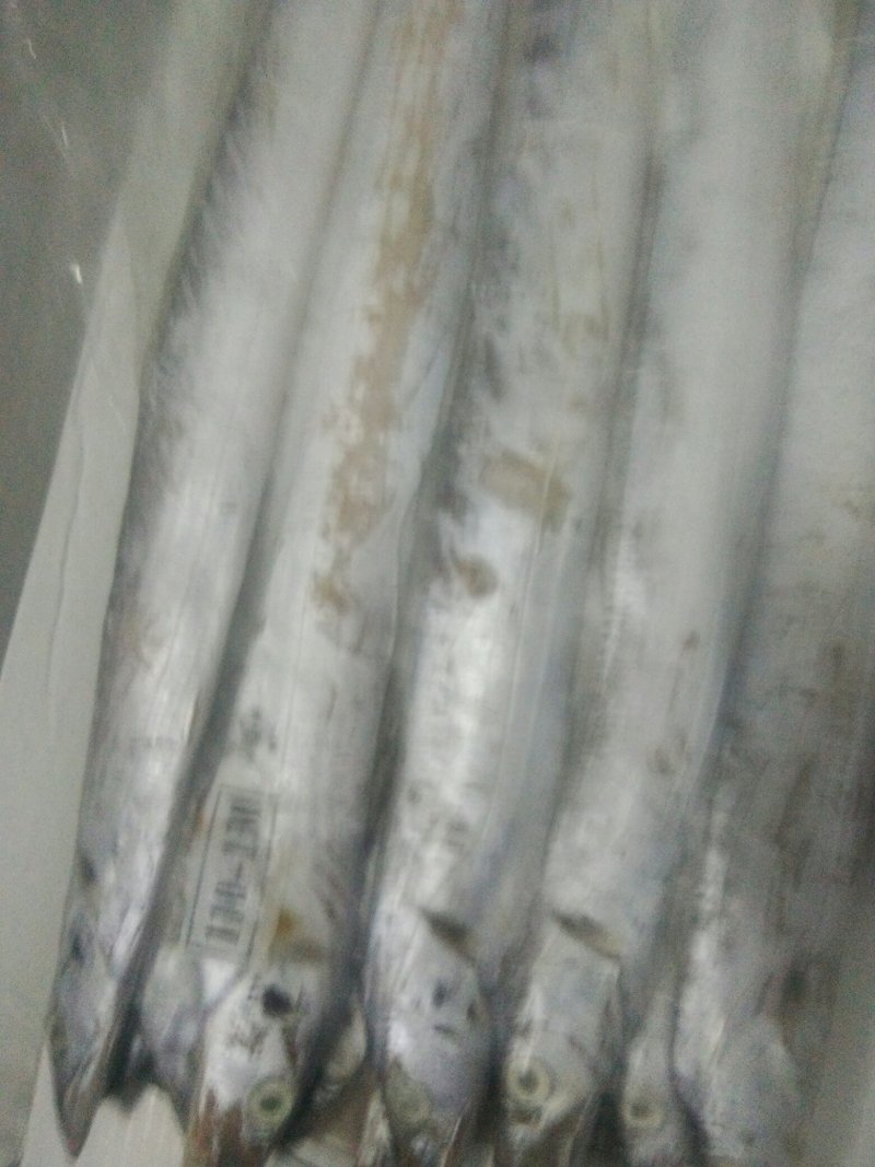 带鱼