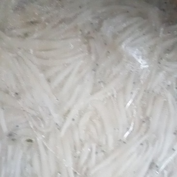 洪泽湖淡水特产