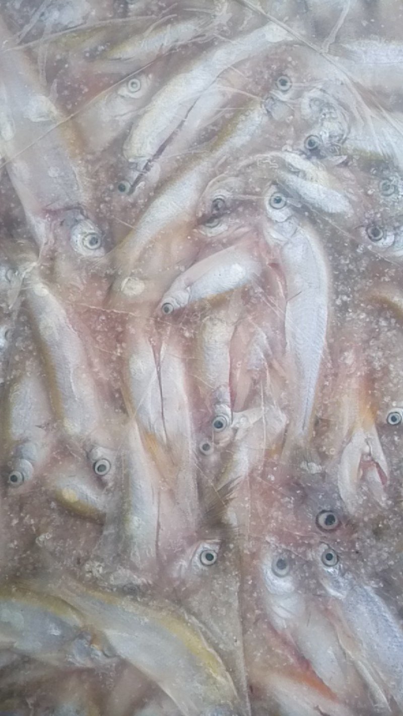 洪泽湖淡水特产