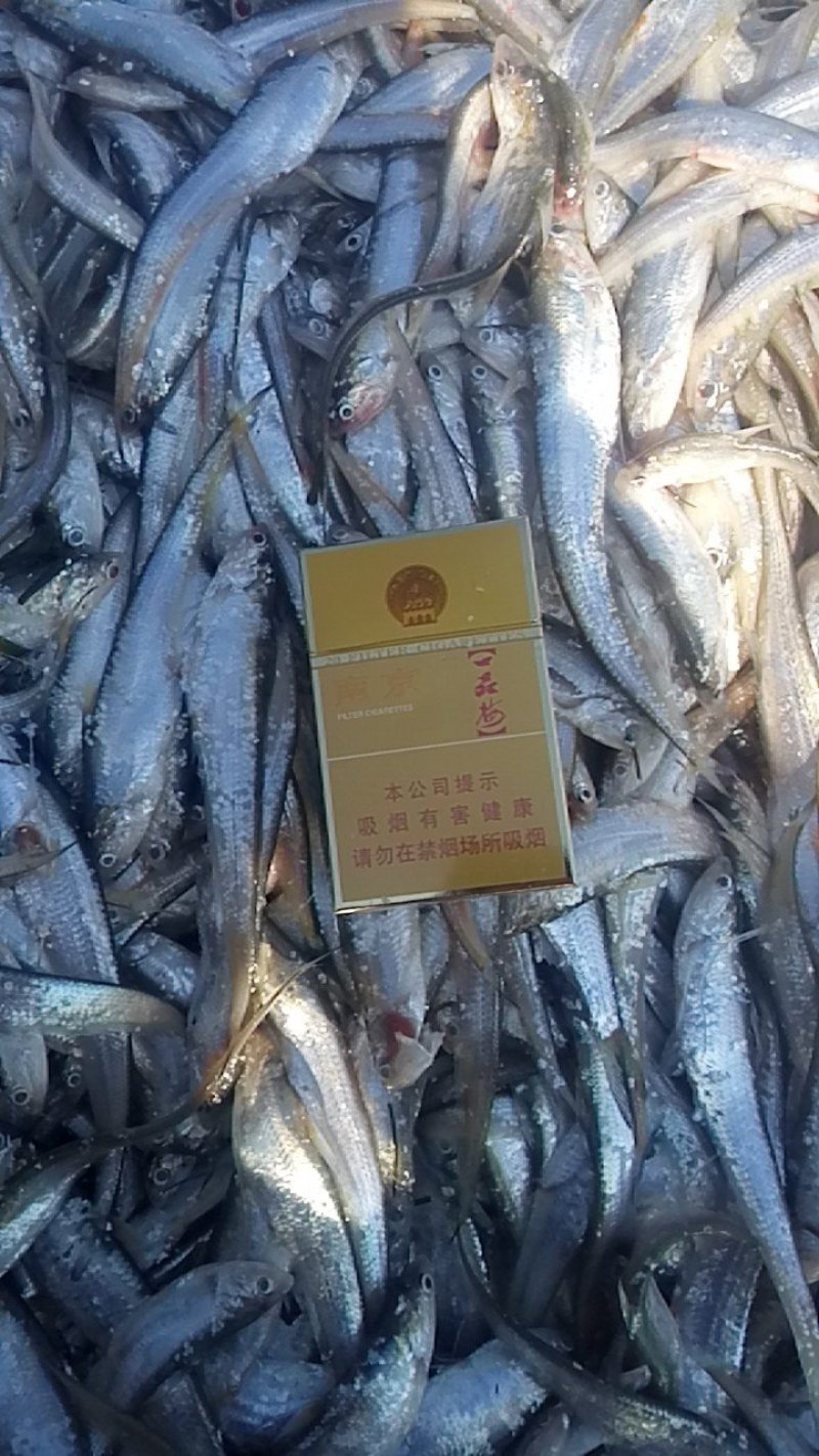 洪泽湖淡水特产