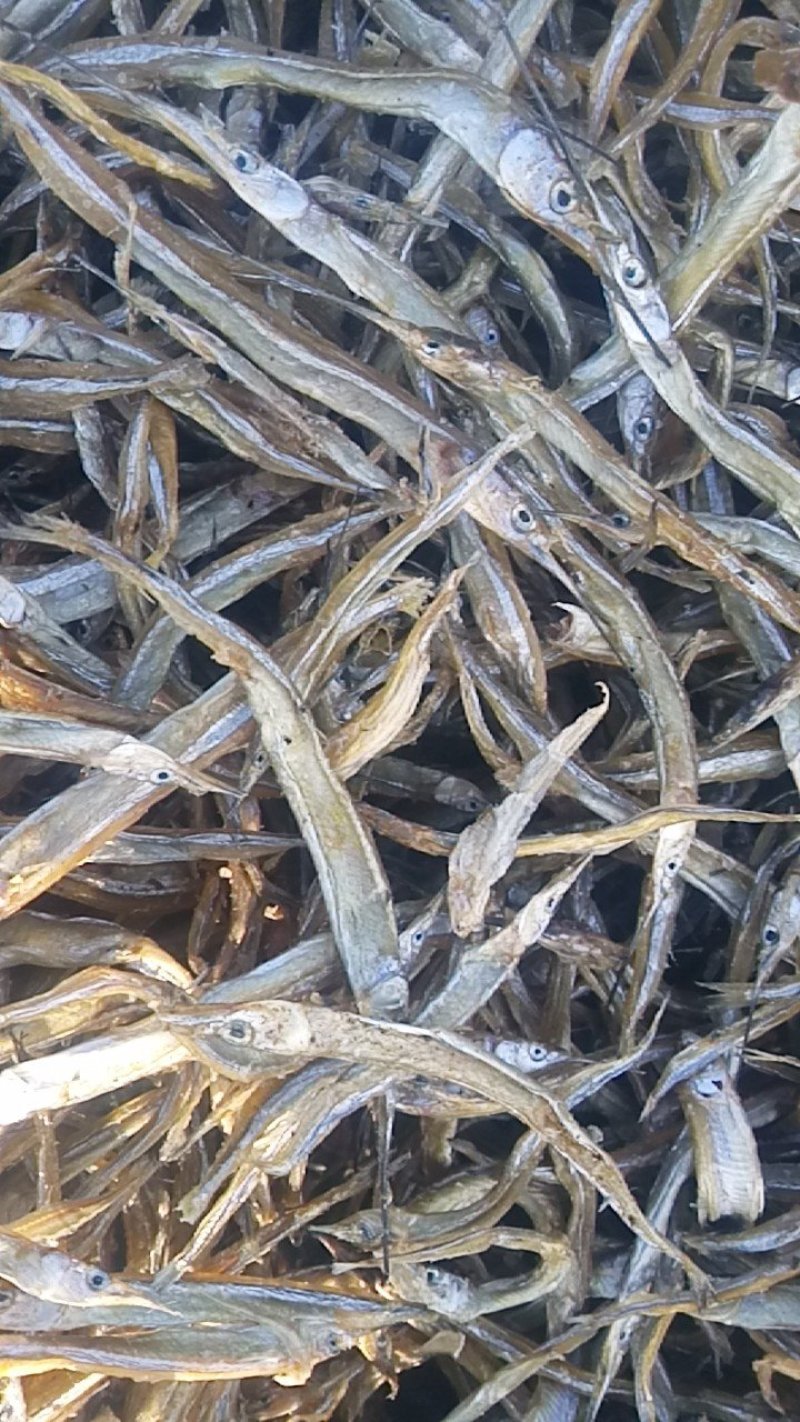 洪泽湖淡水特产