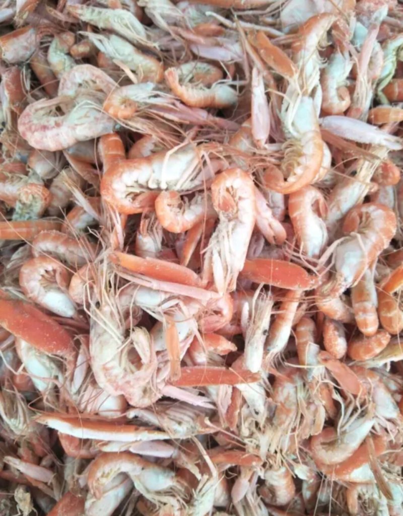 鲅鱼烤虾对虾北极甜虾带鱼爪虾狗虾