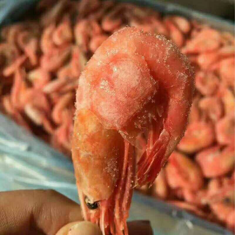 鲅鱼烤虾对虾北极甜虾带鱼爪虾狗虾