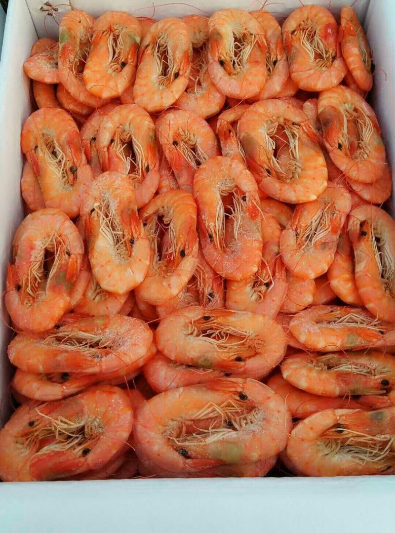 鲅鱼烤虾对虾北极甜虾带鱼爪虾狗虾