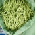 精品扁豆精品无筋豆价格不高看中私聊