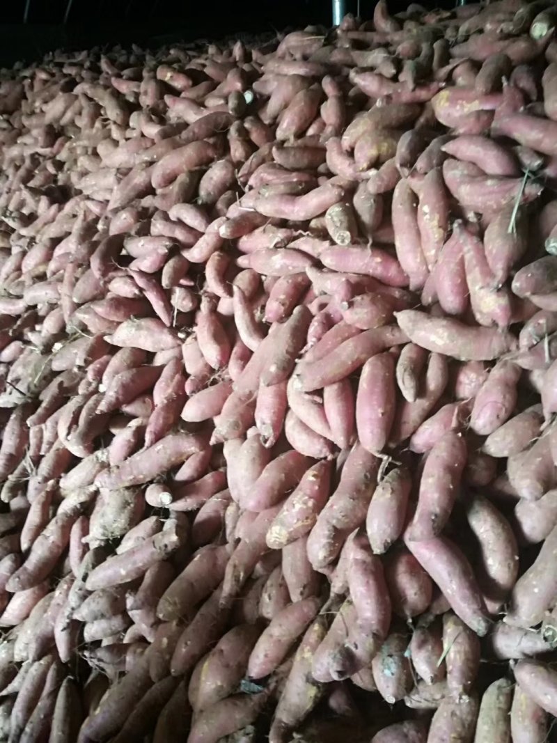 红薯白心4两以上，合作共赢