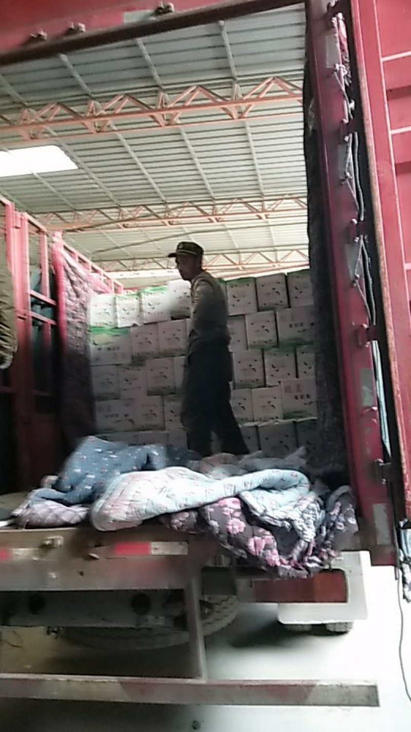 雪花梨河北产地直发价格低货源充足欢迎咨询下单