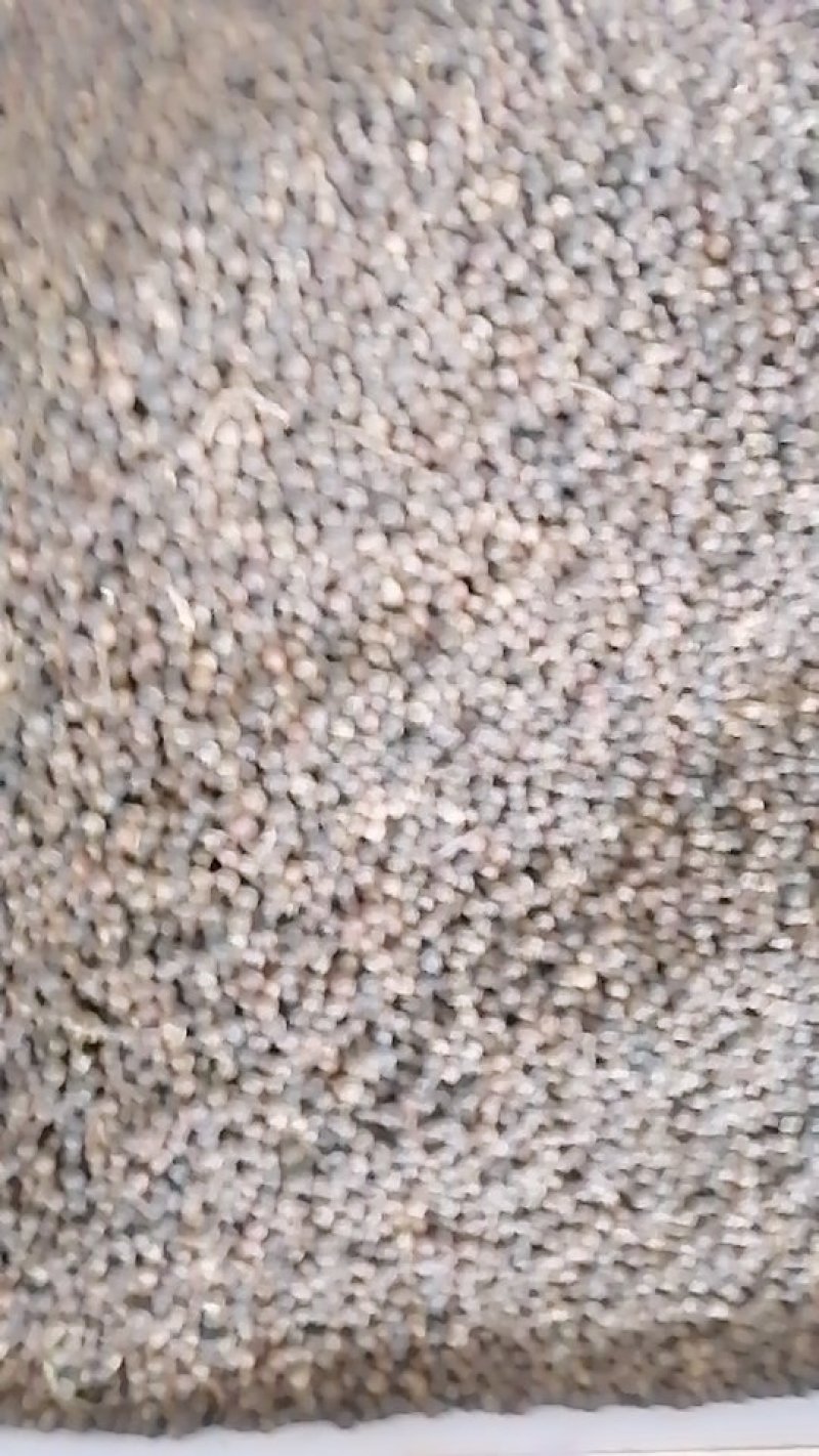 黑胡椒