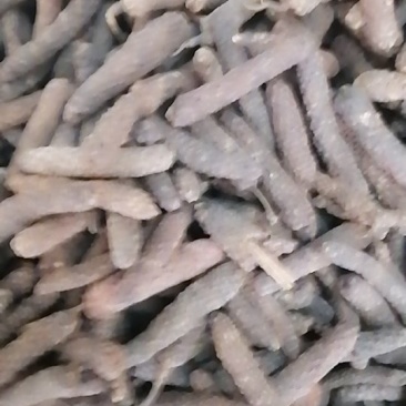 大毕卜，
