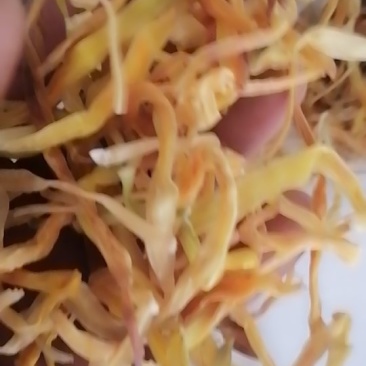 黄花菜