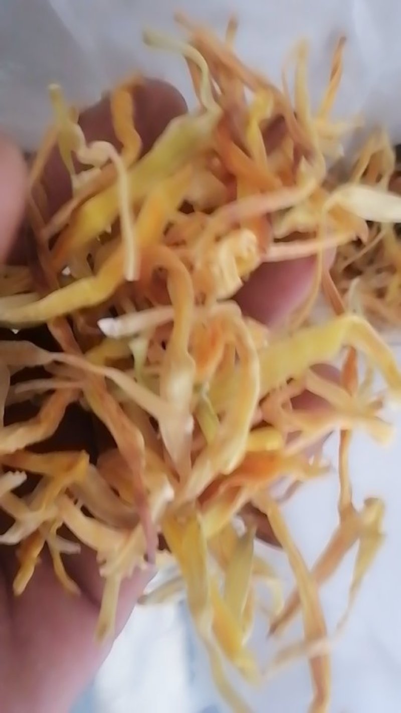 黄花菜