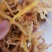黄花菜