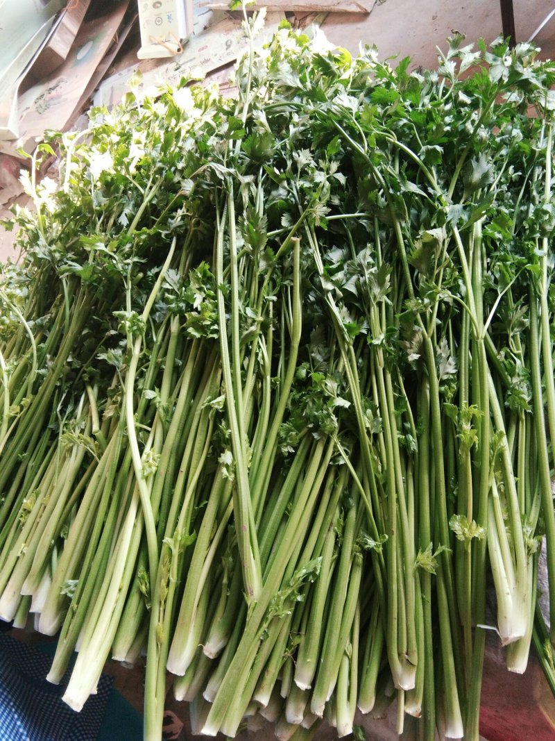 章丘鲍芹，芹芽，精芹无丝无渣，脆甜可口，营养丰富，量大从优
