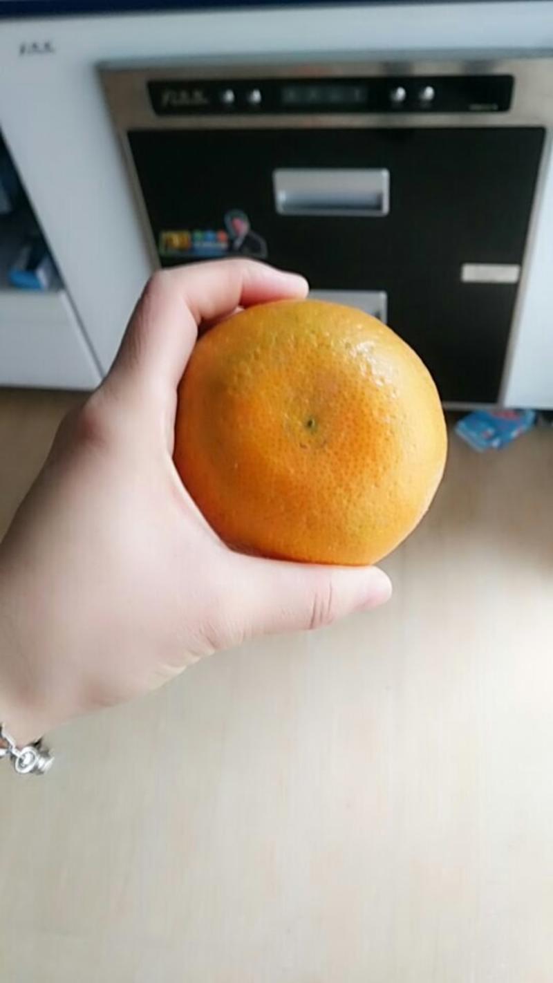 【热销】福建柑橘焦柑果肉多汁产地直发批发量大从优