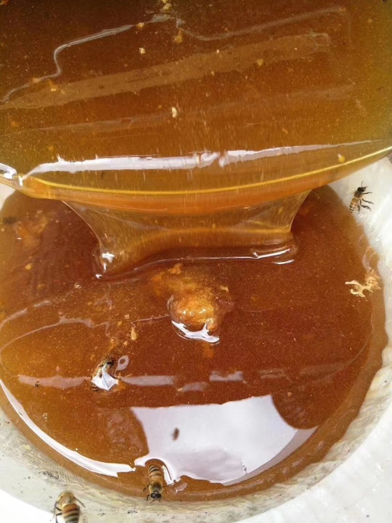 蜂蜜花粉蜂王浆批发