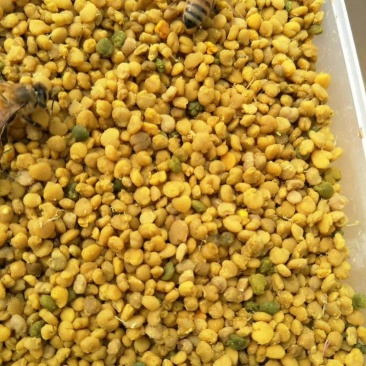 蜂蜜花粉蜂王浆批发