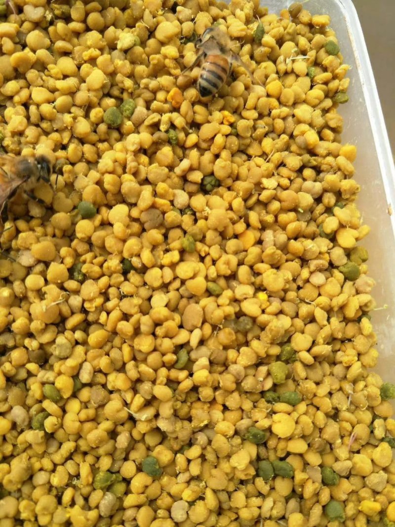 蜂蜜花粉蜂王浆批发