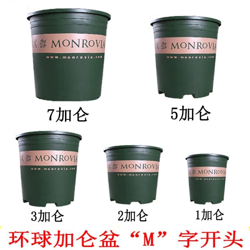环球加仑花盆环球加仑盆加仑盆园艺用盆月季阳台种菜