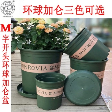 环球加仑花盆环球加仑盆加仑盆园艺用盆月季阳台种菜