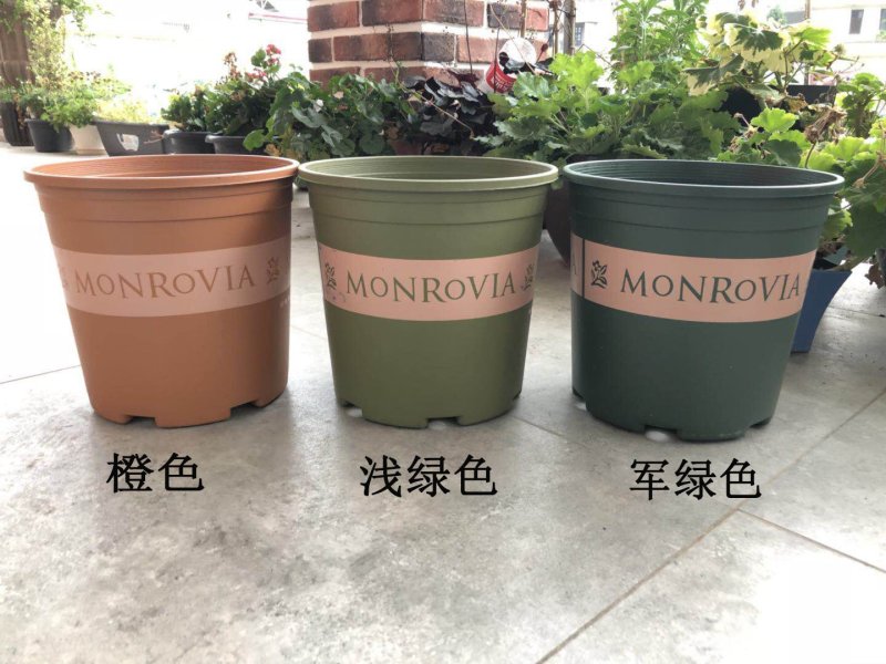 环球加仑花盆环球加仑盆加仑盆园艺用盆月季阳台种菜