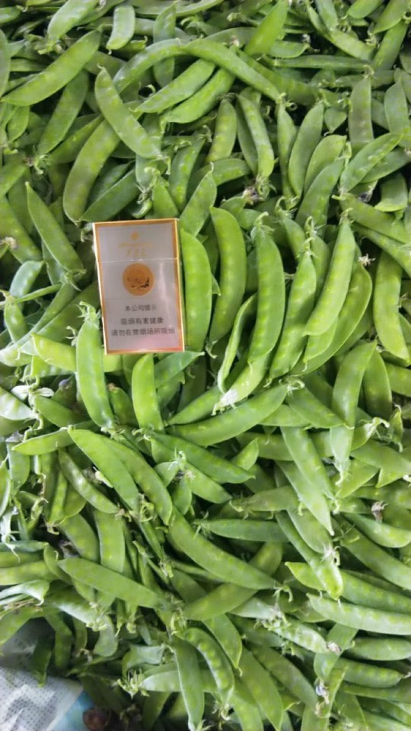 荷兰豆夹豆