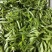 荷兰豆夹豆