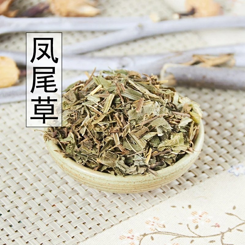 凤尾草井边草凤尾七鸡爪草金鸡尾中药材