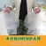 山东特产无添加纯绿豆粉皮