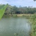 农村土地流转