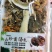 山珍野生菌汤包