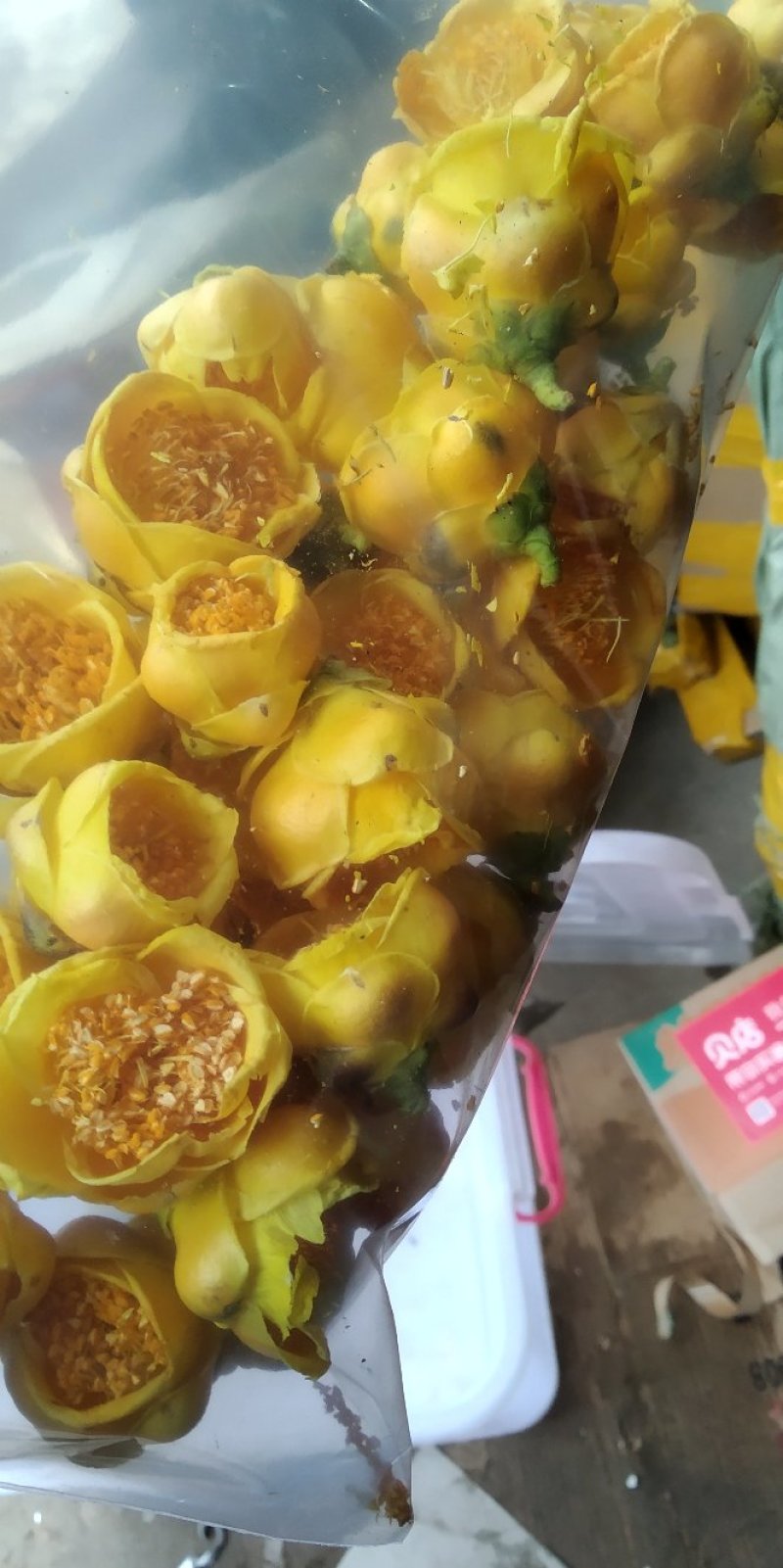 金花茶金花茶烘干花冻干花