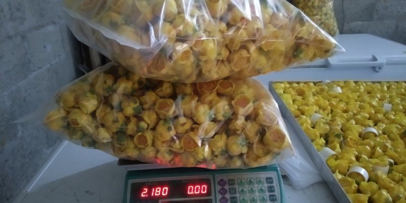 金花茶金花茶烘干花冻干花
