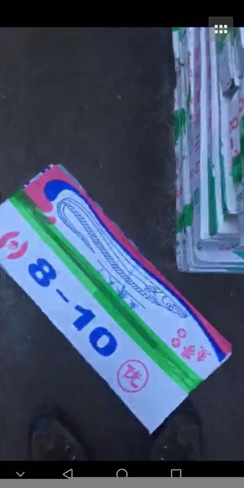 山东刀鱼