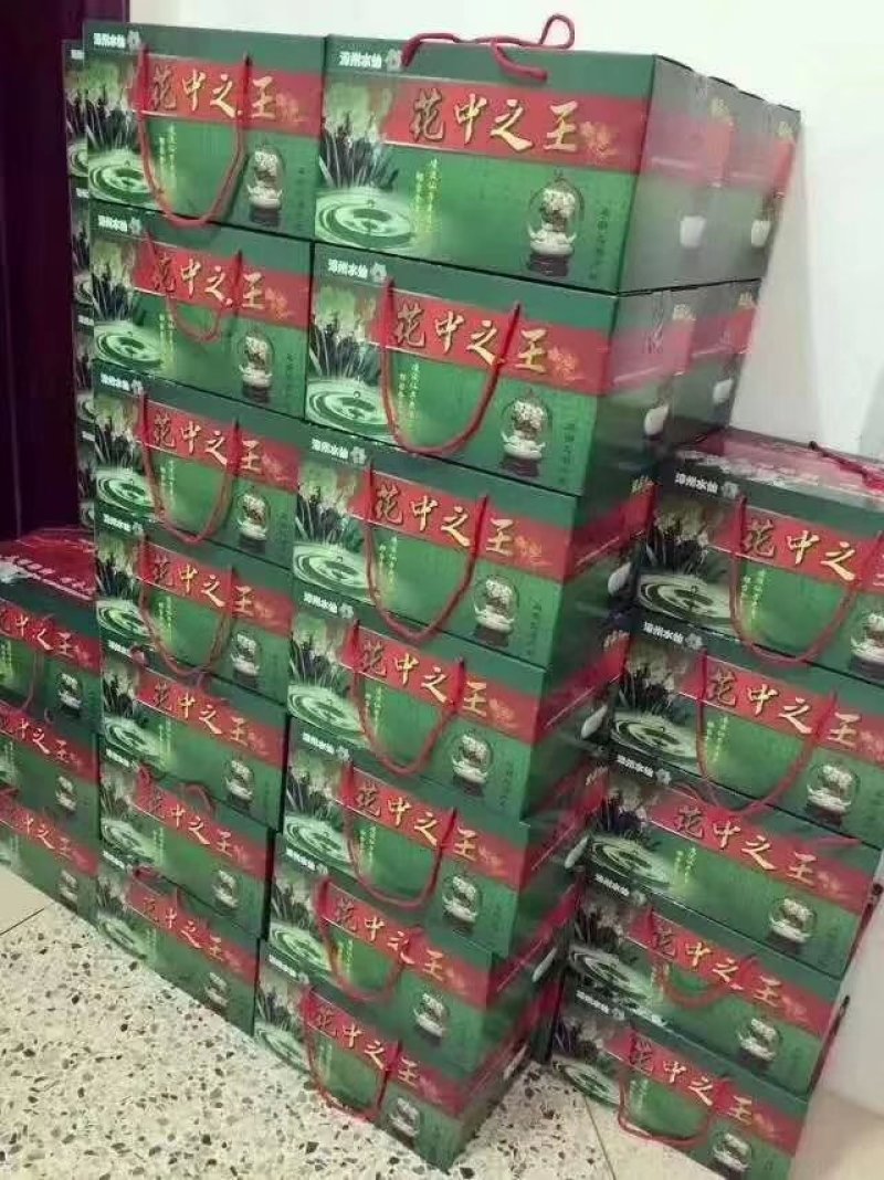 礼盒水仙花