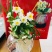 礼盒水仙花