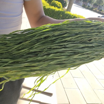 云南精品贡菜精品贡菜无色素无添加，无外皮纯手工制作