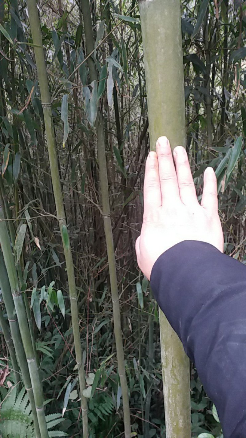 土地出租