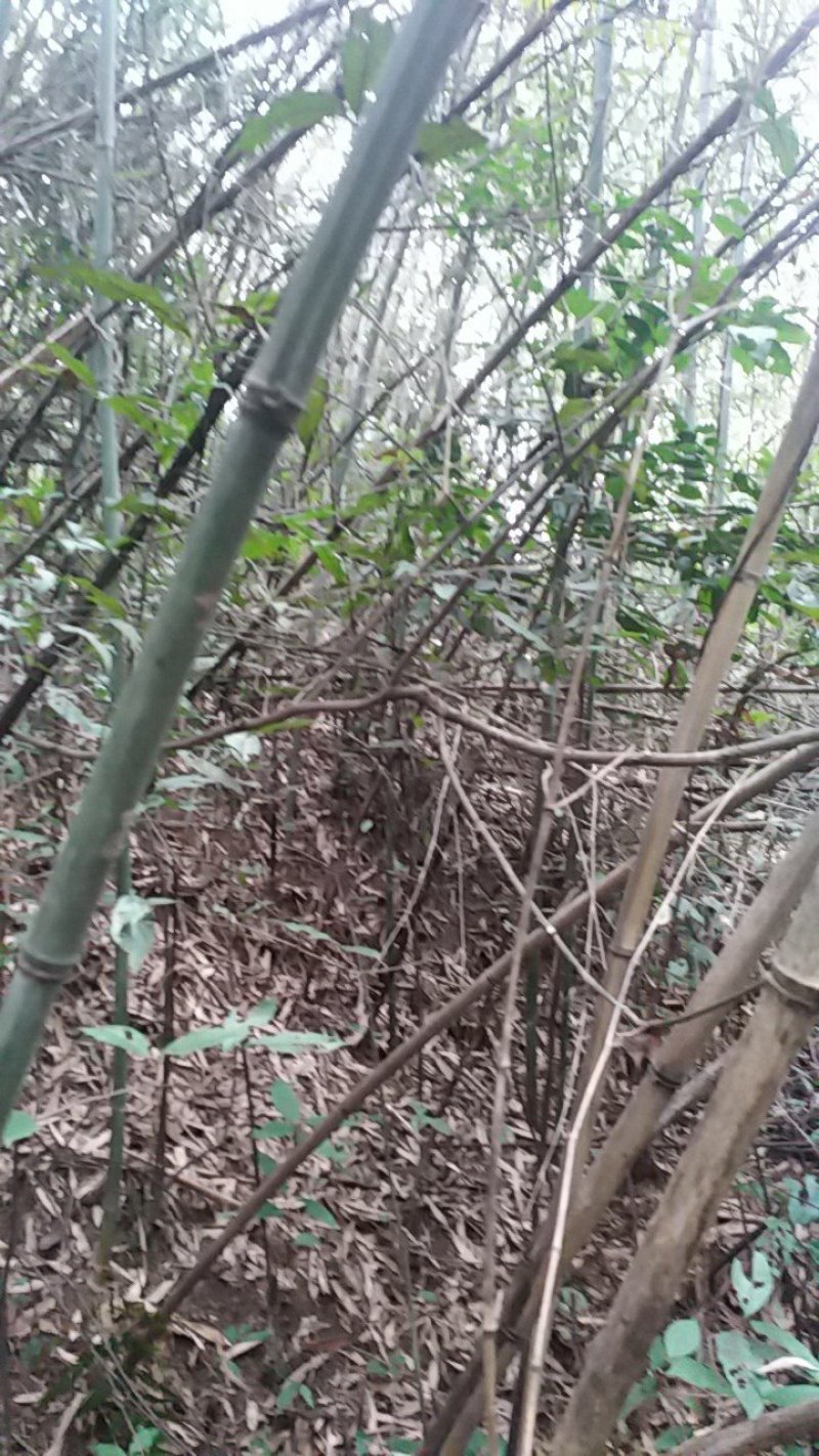 土地出租