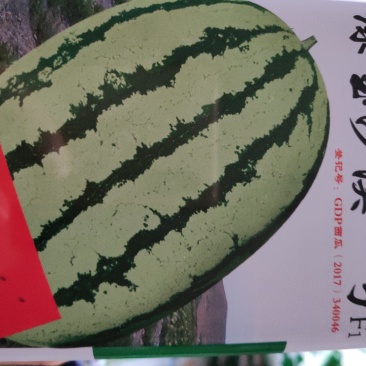 绿宝沙漠一号西瓜种子