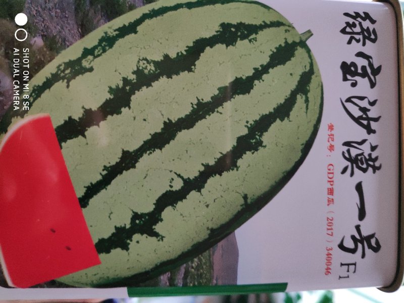 绿宝沙漠一号西瓜种子