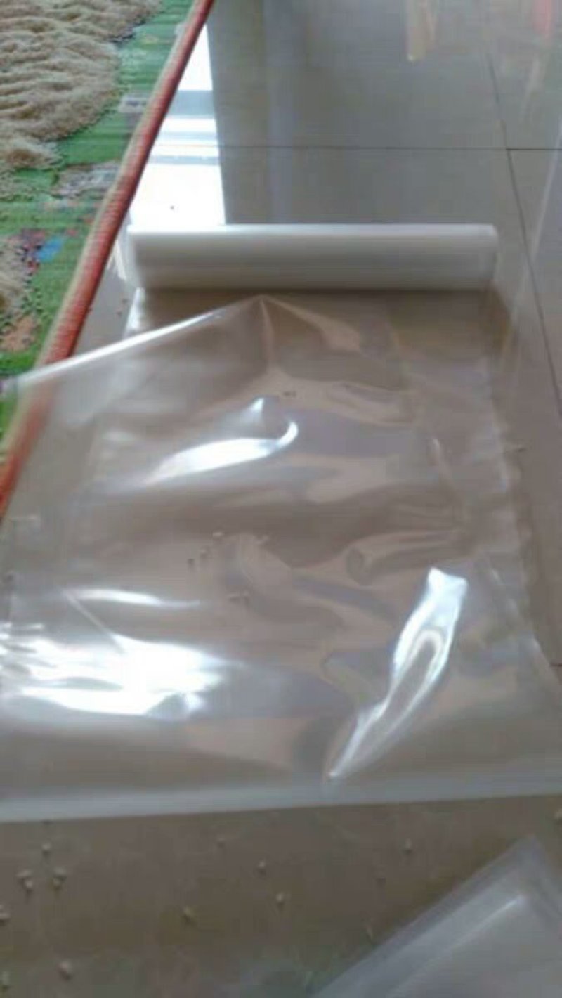真空各种类型包装袋30X500CM卷袋网纹路真空包草莓