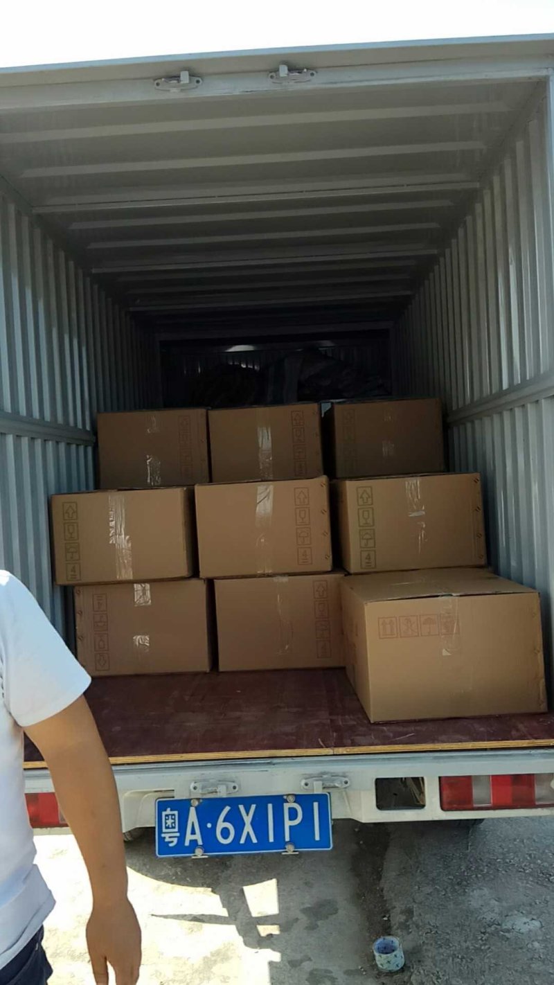 刺鳅鱼苗刀鳅猪麻记鱼苗包回收成品养殖场直供全国包