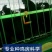 乌骨鸡种蛋乌蒙珍禽盐津乌骨鸡，鸡苗种蛋批发