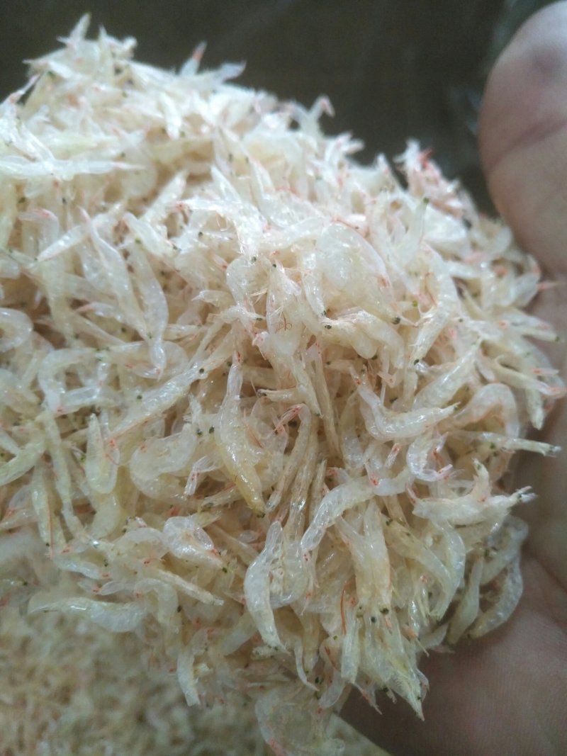虾皮