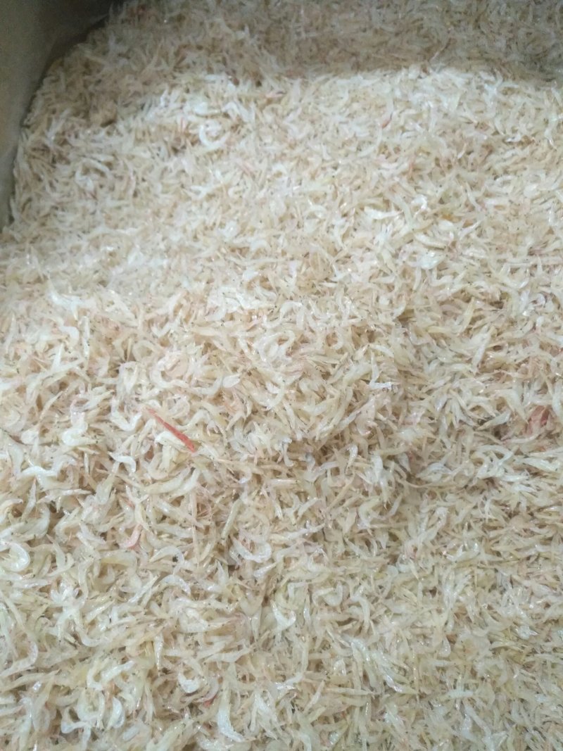 虾皮