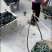 湖北省随州青菜_泡泡青