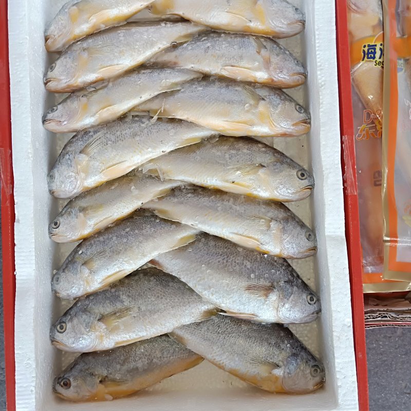 圣女果，各类刀鱼，套菜